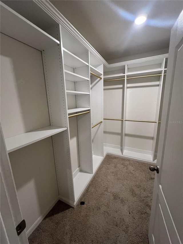 spacious closet with carpet flooring