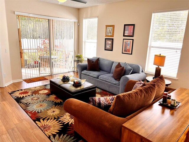 living room featuring ceiling fan and wood-type flooring