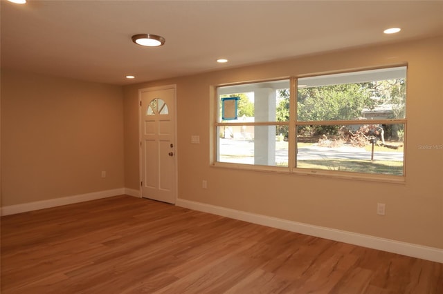 entryway with wood-type flooring