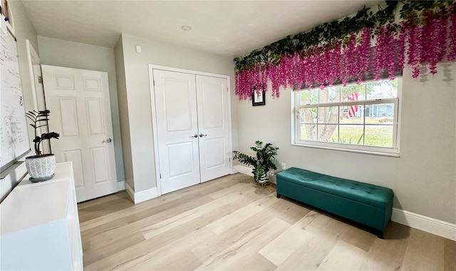 living area with light wood-type flooring