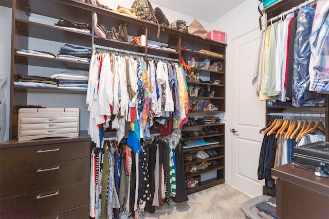 walk in closet with light colored carpet