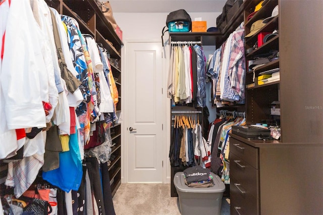 walk in closet featuring light colored carpet