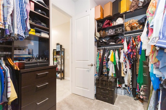 spacious closet with light colored carpet