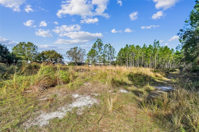 Listing photo 3 for Zachary, New Port Richey FL 34655