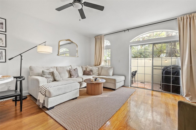 living room with ceiling fan and hardwood / wood-style flooring