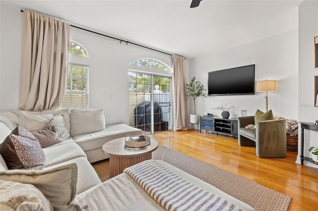 living room with wood-type flooring