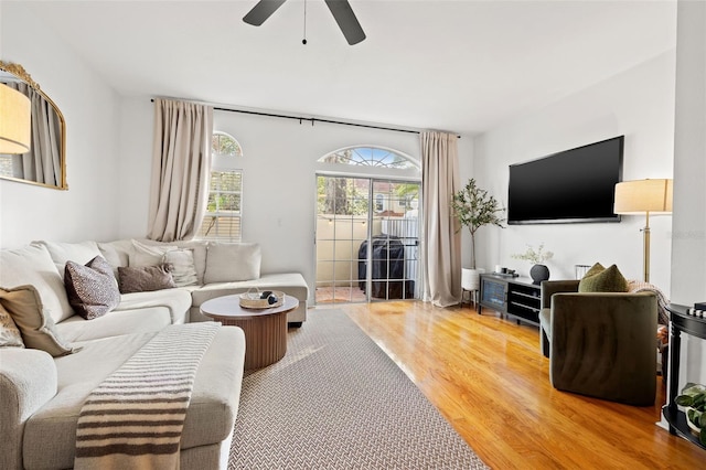 living room featuring hardwood / wood-style flooring and ceiling fan