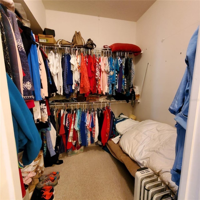 spacious closet featuring carpet flooring and radiator