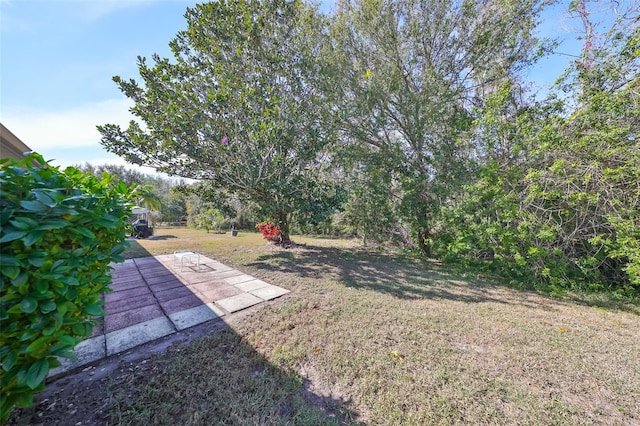 view of yard featuring a patio area