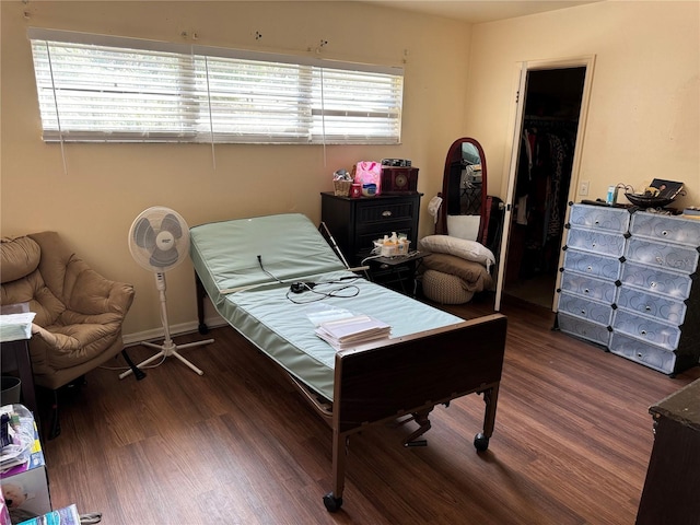 bedroom featuring multiple windows, a walk in closet, a closet, and dark hardwood / wood-style floors