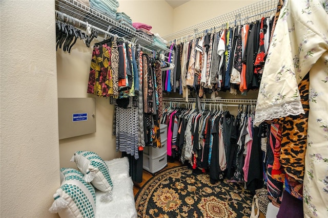 view of walk in closet