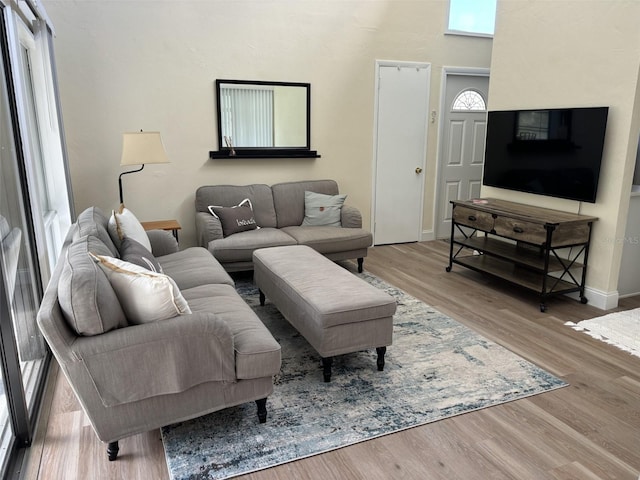 living room featuring hardwood / wood-style floors and a skylight