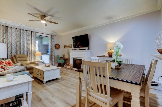 living room featuring light hardwood / wood-style flooring, ceiling fan, and ornamental molding