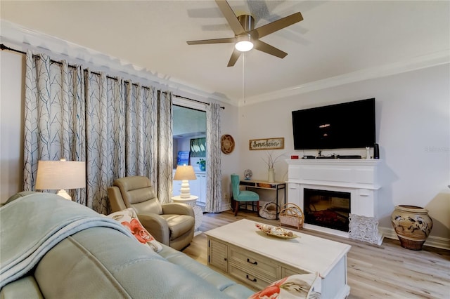 living room featuring ceiling fan, light wood-type flooring, and crown molding