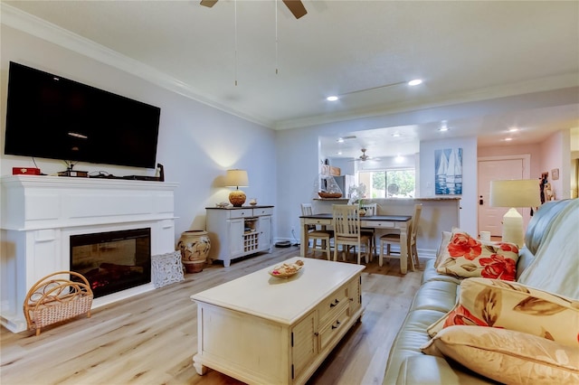 living room with crown molding, light hardwood / wood-style flooring, and ceiling fan