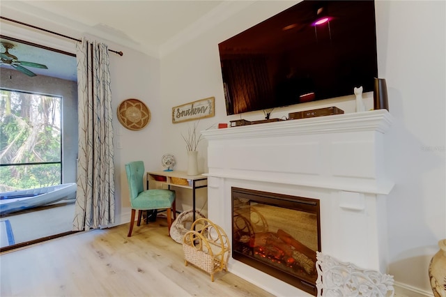 sitting room featuring ceiling fan, light hardwood / wood-style floors, and ornamental molding