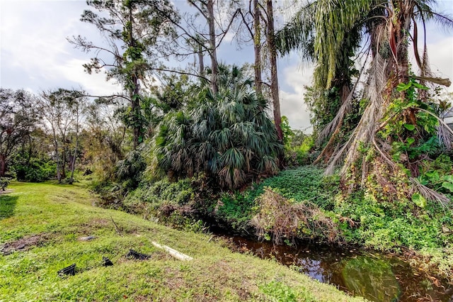 view of local wilderness featuring a water view