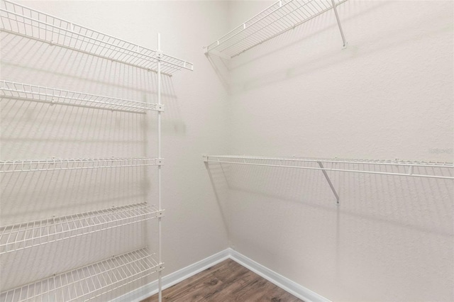 walk in closet featuring wood finished floors