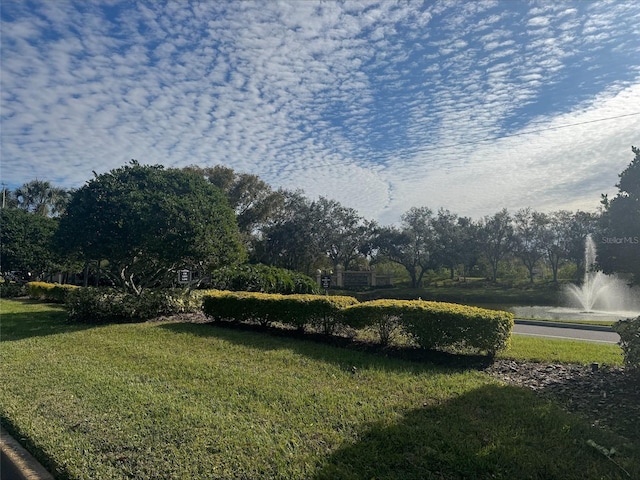 view of community featuring a lawn