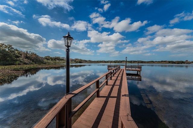 dock area with a water view