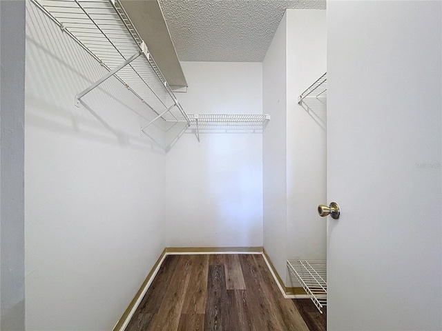 spacious closet featuring dark wood-type flooring