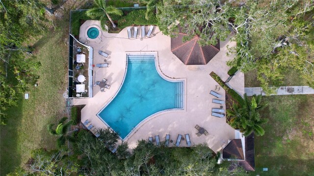 view of swimming pool