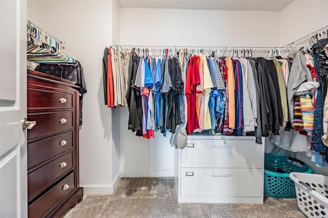 spacious closet with carpet