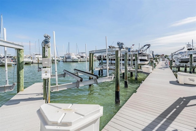 dock area with a water view