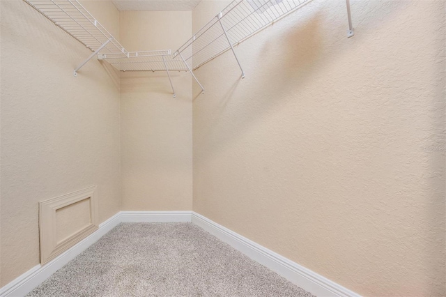 spacious closet featuring carpet