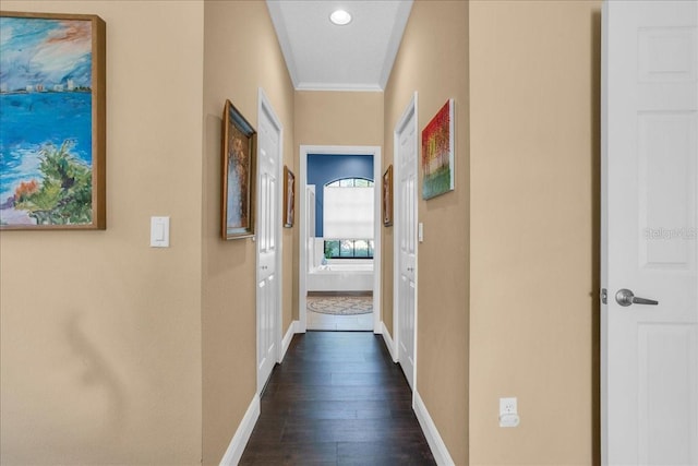 hallway featuring dark wood-type flooring and crown molding