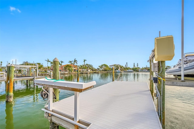 dock area with a water view