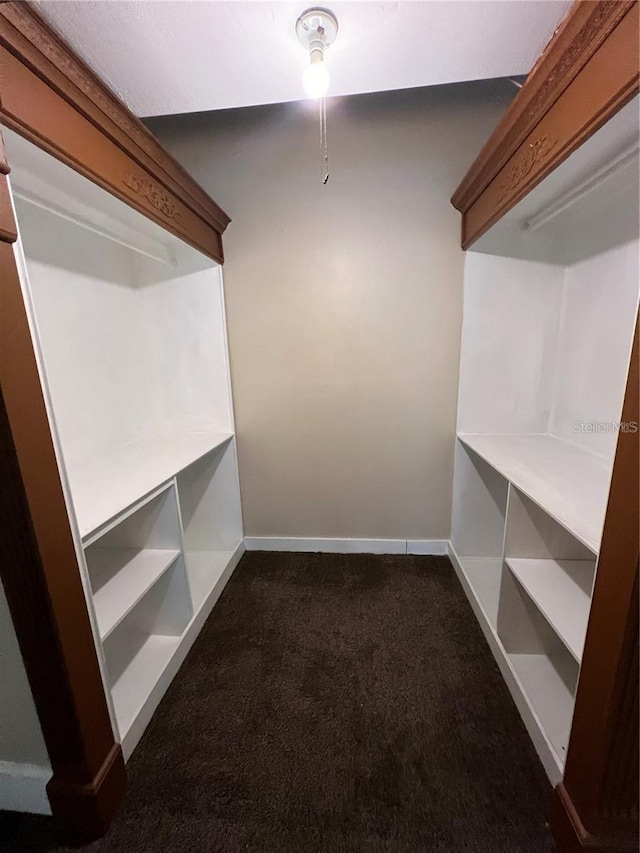 walk in closet with dark colored carpet