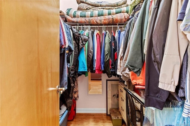 spacious closet featuring hardwood / wood-style flooring