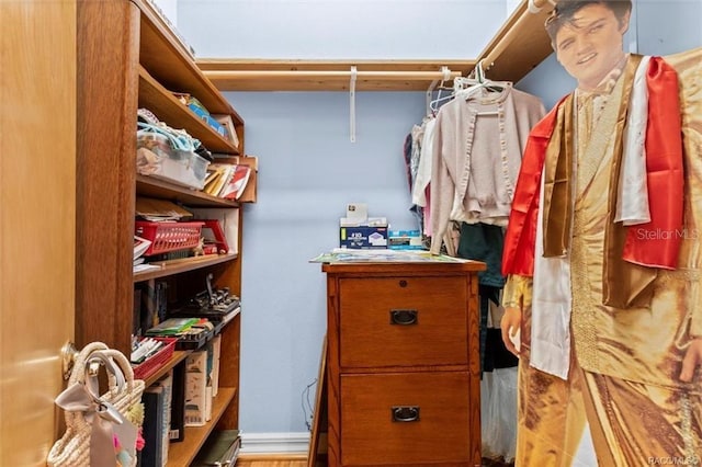 view of spacious closet