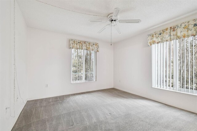 empty room with carpet, a textured ceiling, and ceiling fan