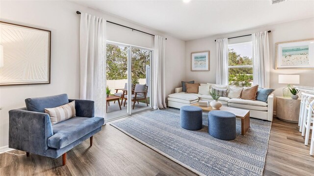 living room featuring a wealth of natural light and light hardwood / wood-style flooring