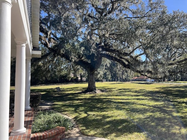 view of yard