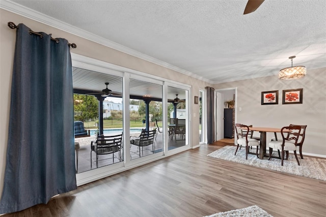 1985 Byram Dr, Clearwater, FL 33755 - photo 12