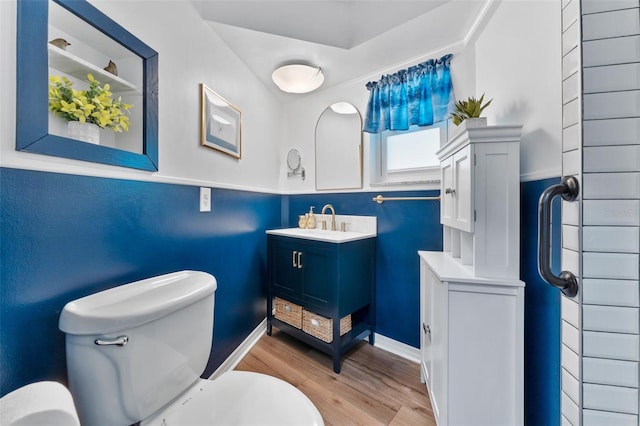 bathroom featuring vanity, toilet, and wood-type flooring