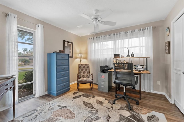 office space with wood-type flooring and ceiling fan