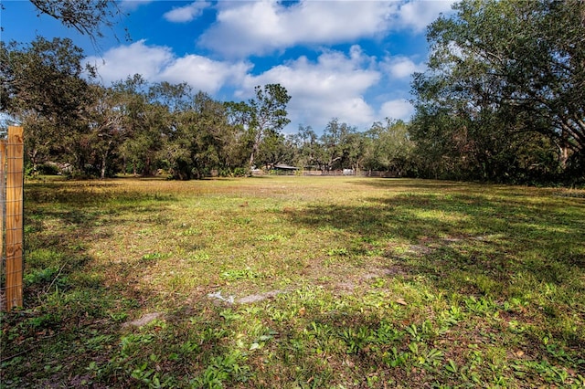 view of yard with a rural view