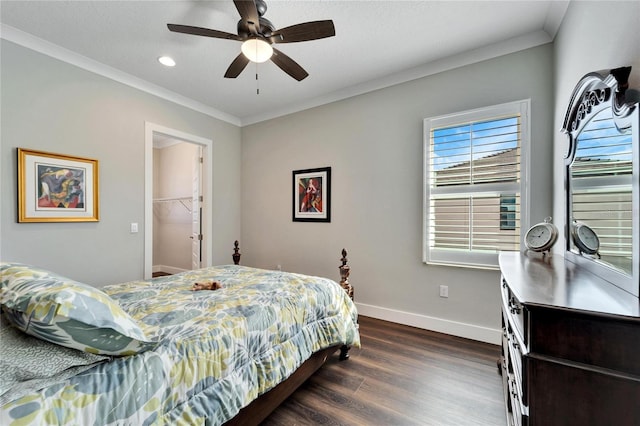 bedroom with a spacious closet, dark hardwood / wood-style floors, a closet, crown molding, and ceiling fan