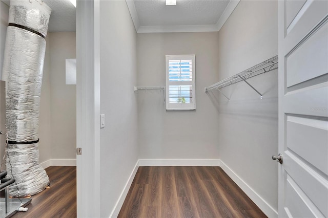 spacious closet featuring dark hardwood / wood-style flooring