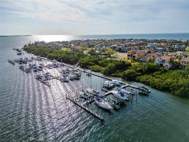 1308 Alhambra Dr, Apollo Beach, FL 33572 - photo 93