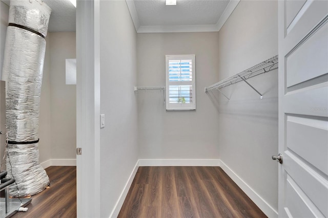 1308 Alhambra Dr, Apollo Beach, FL 33572 - spacious closet featuring dark wood-style floors
