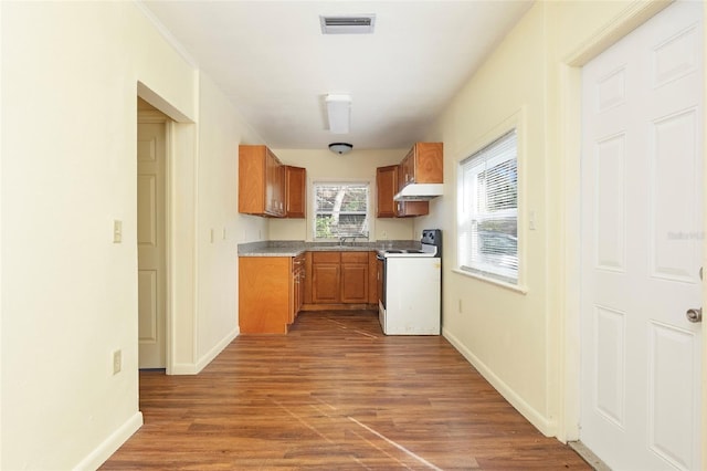 kitchen with sink, wood-type flooring, and white electric range oven