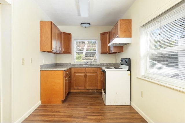 kitchen featuring white electric range, dark hardwood / wood-style floors, and sink