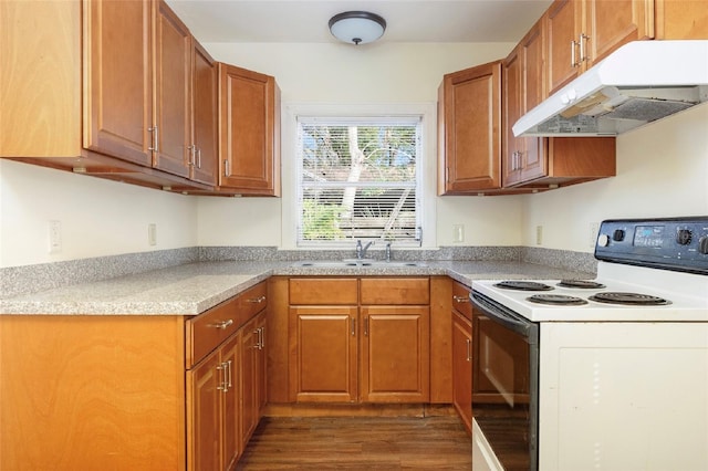 kitchen with electric range oven, dark hardwood / wood-style floors, and sink