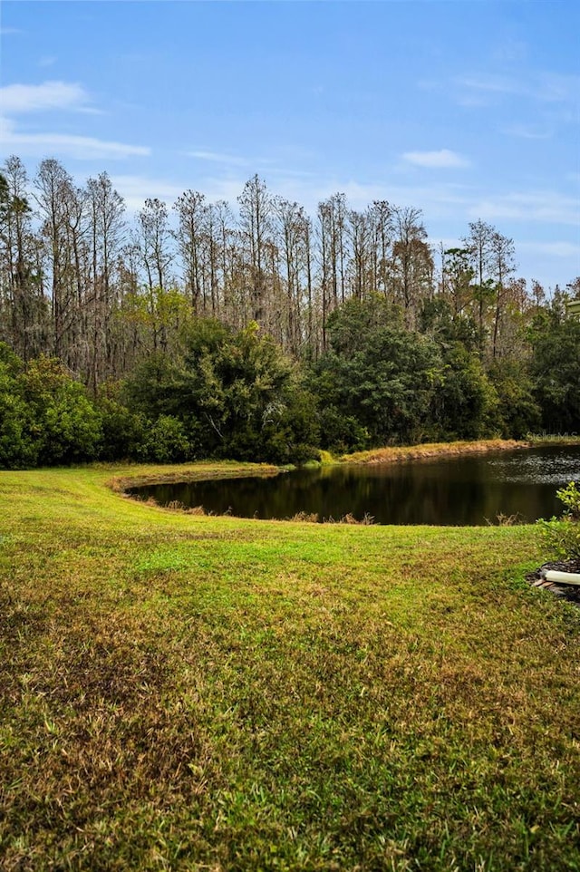 view of yard featuring a water view