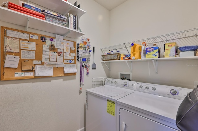 6516 Salt Creek Ave, Apollo Beach, FL 33572 - laundry area with washing machine and clothes dryer